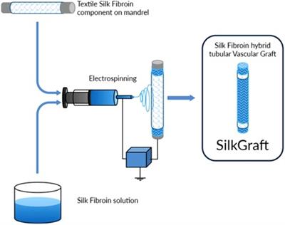 In-vivo evaluation of silk fibroin small-diameter vascular grafts: state of art of preclinical studies and animal models